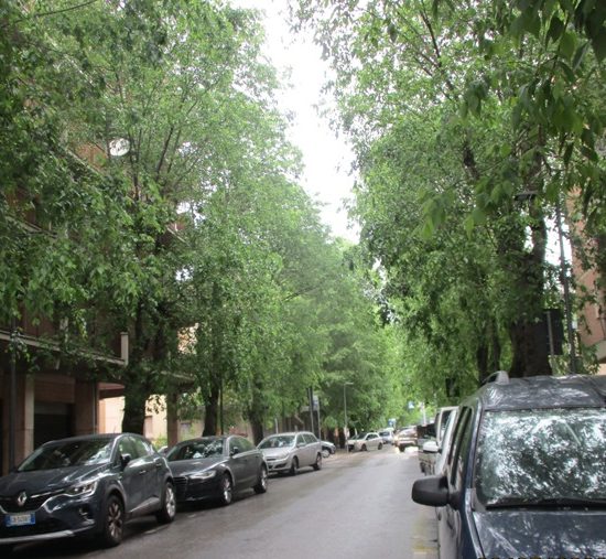 viale-Marconi-Poggibonsi_Toscana-ambiente