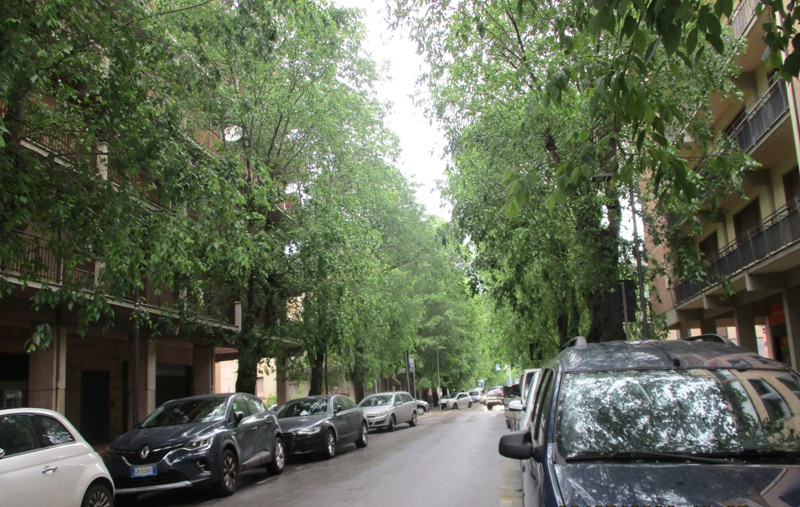 viale-Marconi-Poggibonsi_Toscana-ambiente