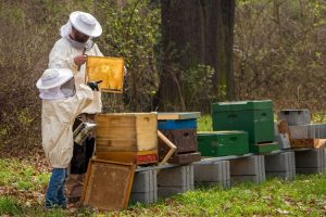 Coldiretti-maltempo-danni_Toscana-ambiente