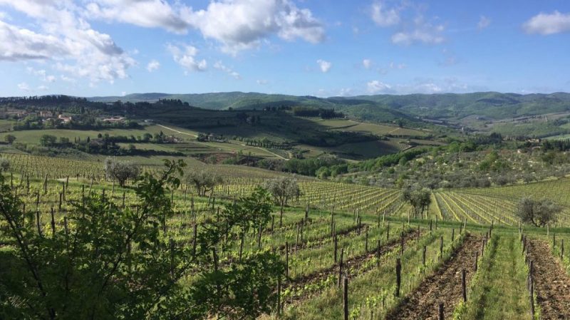 falde-acqua-Lipu_Toscana-ambiente