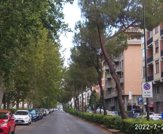 Foto da Italia Nostra Firenze.