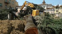 Abbattimenti del 2018 (Foto da Comitato Piazza Mazzini Poggibonsi)