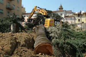 Abbattimenti del 2018 (Foto da Comitato Piazza Mazzini Poggibonsi)