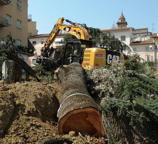 Abbattimenti del 2018 (Foto da Comitato Piazza Mazzini Poggibonsi)