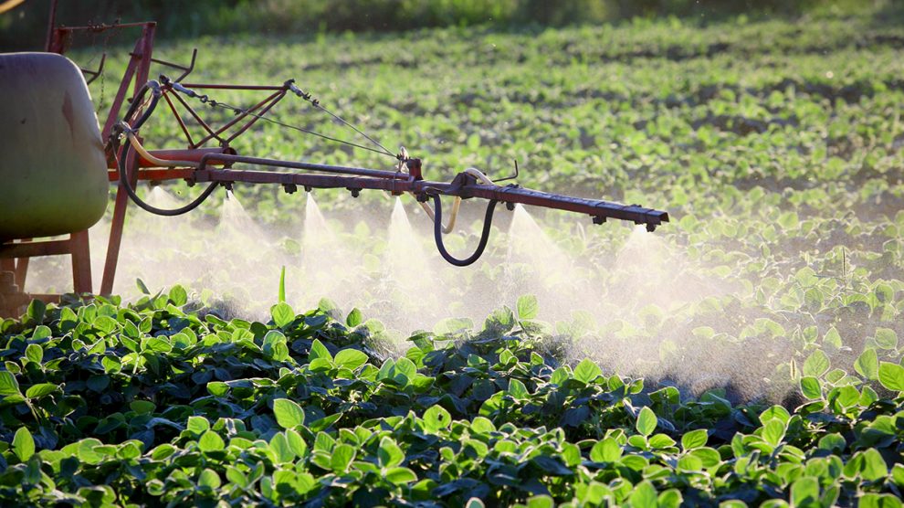 pesticidi-regolamento-associazioni_Toscana-ambiente