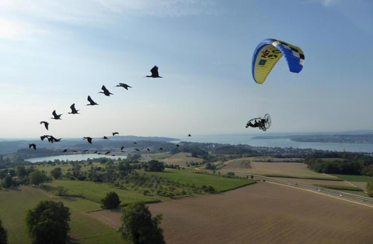 Ibis-Wwf-deltaplani_Toscana-ambiente