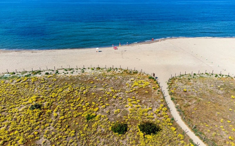 scuola-spiaggia-lezioni_Toscana-ambiente