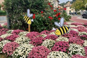 Calenzano-api-impollinatori_Toscana-ambiente