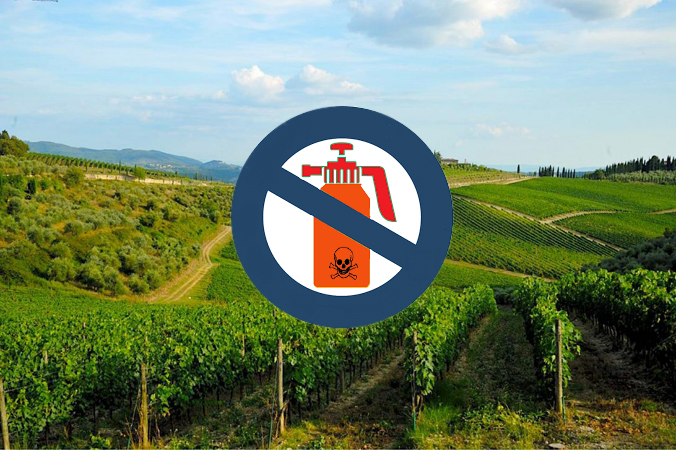 Chianti-Greve-pesticidi-Toscana-Ambientejpg