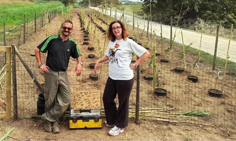 sposi-alberi-felicità_Toscana-ambiente