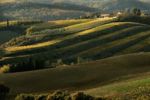 Greve-Chianti-problemi_Toscana-ambiente