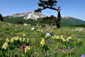 natura-scienziati-Pianeta_Toscana-ambiente