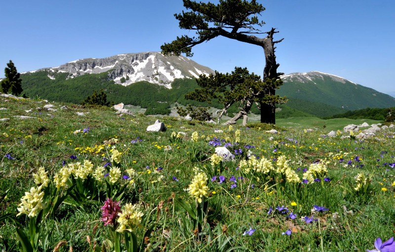 natura-scienziati-Pianeta_Toscana-ambiente