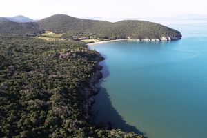 cala-forno-tenuta_Toscana-ambiente