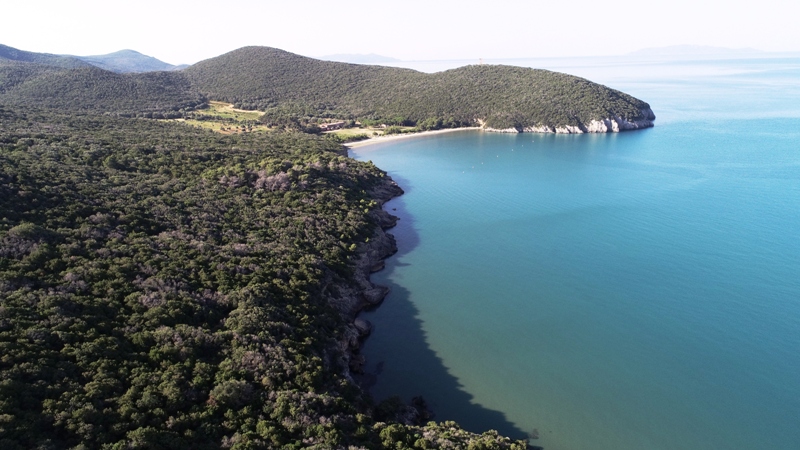 cala-forno-tenuta_Toscana-ambiente