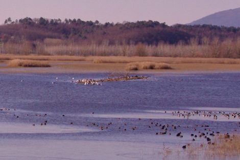 Il lago delle Morette com'era