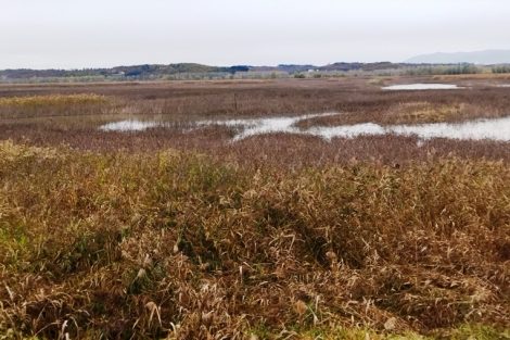 Il lago delle Morette com'è