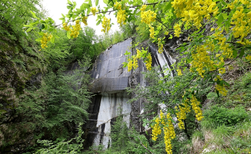 cava-Apuane-siti_Toscana-ambiente