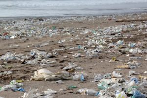 plastica-spiaggia_Toscana-ambiente