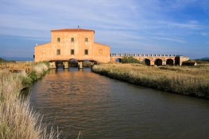 Diaccia-Botrona-Grosseto_Toscana-ambiente
