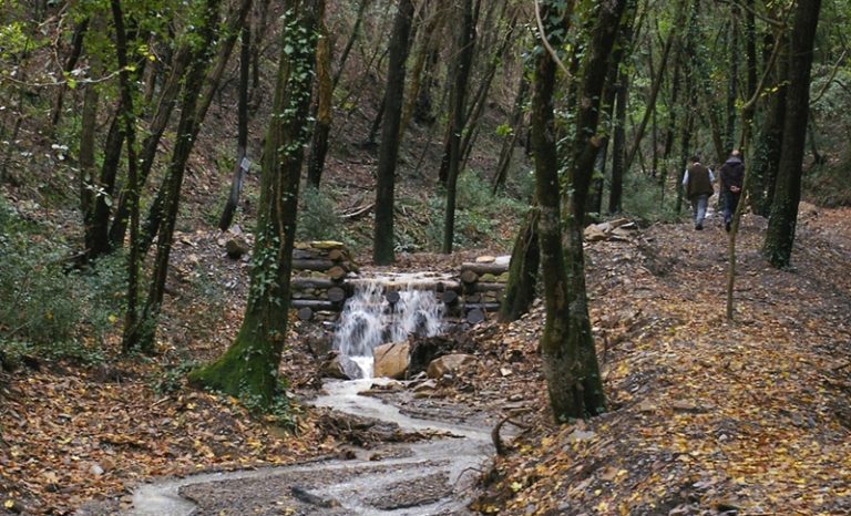 boschi-convegno_Toscana-ambiente