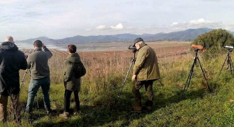 censimento-uccelli-acquatici_Toscana-ambiente