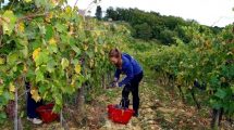 giovani-agricoltori_Toscana-ambiente