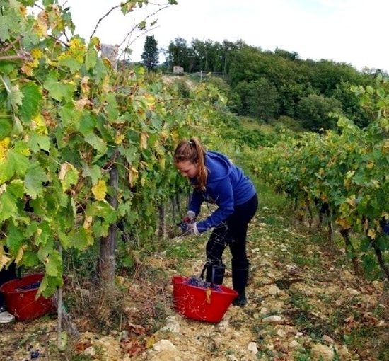 giovani-agricoltori_Toscana-ambiente