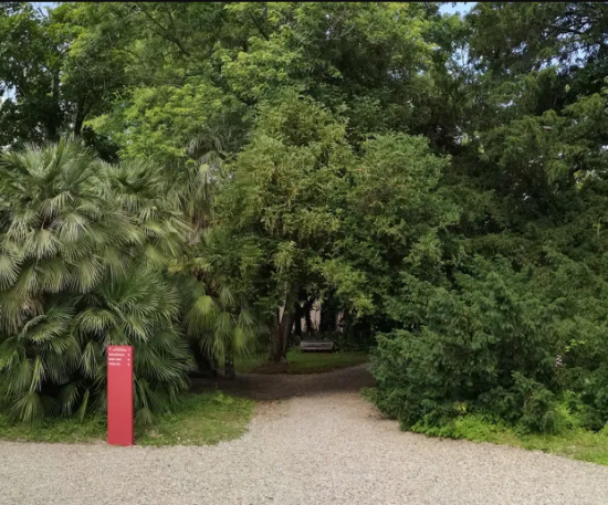 orto-botanico-Pisa_Toscana-ambiente