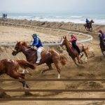 palio-Bibbona-ambienti_Toscana-ambiente