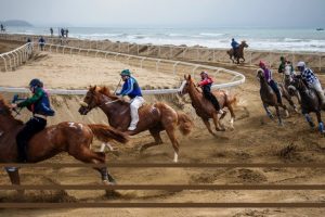 palio-Bibbona-ambienti_Toscana-ambiente