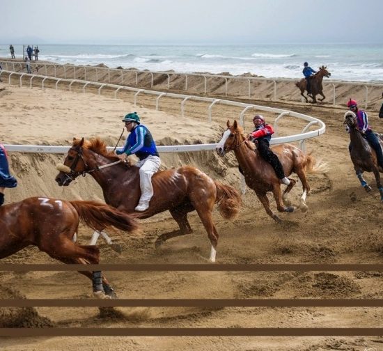 palio-Bibbona-ambienti_Toscana-ambiente