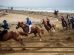 palio-Bibbona-ambienti_Toscana-ambiente