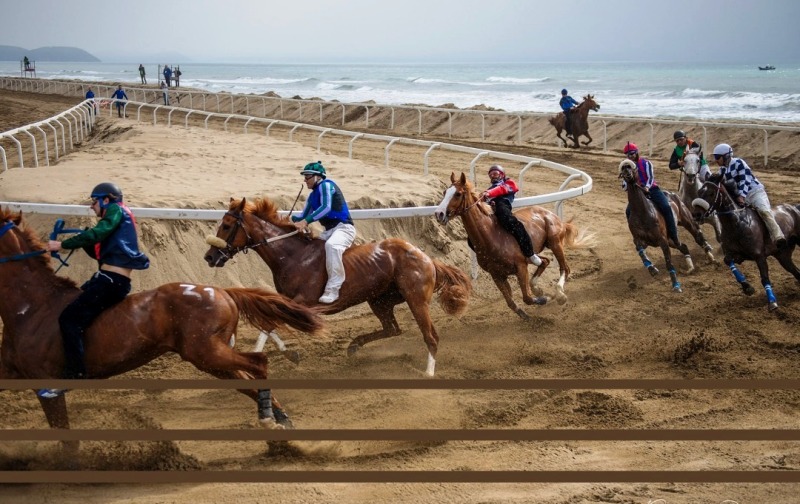 palio-Bibbona-ambienti_Toscana-ambiente