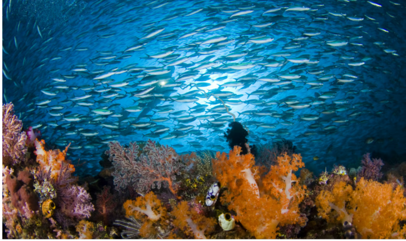 trattato-protezione-oceani_Toscana-ambiente