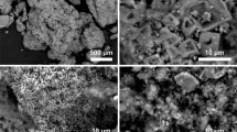 Immagini al microscopio di Keu (Fonte: Università di Pisa)