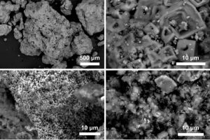 Immagini al microscopio di Keu (Fonte: Università di Pisa)