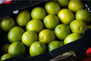 lime-pesticidi-pericolosi_Toscana-ambiente