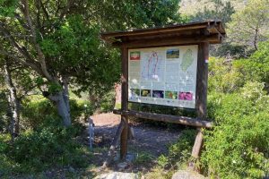 Capraia-itinerario-botanico_Toscana-ambiente