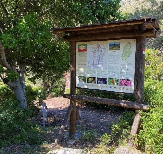 Capraia-itinerario-botanico_Toscana-ambiente