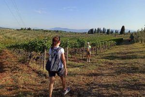 Chianti-itinerari_Toscana-ambiente