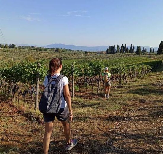 Chianti-itinerari_Toscana-ambiente