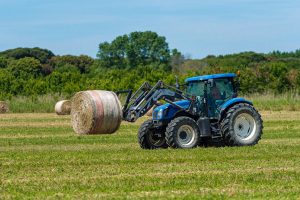 agricoltura-colture_Toscana-ambiente