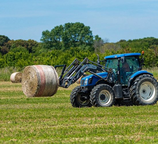 agricoltura-colture_Toscana-ambiente