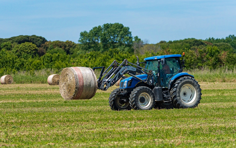 agricoltura-colture_Toscana-ambiente