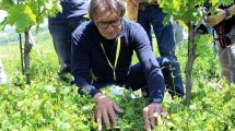 erbe-infestanti_Toscana-ambiente