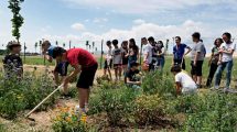 forestazione-urbana_Toscana-ambiente