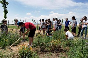 forestazione-urbana_Toscana-ambiente