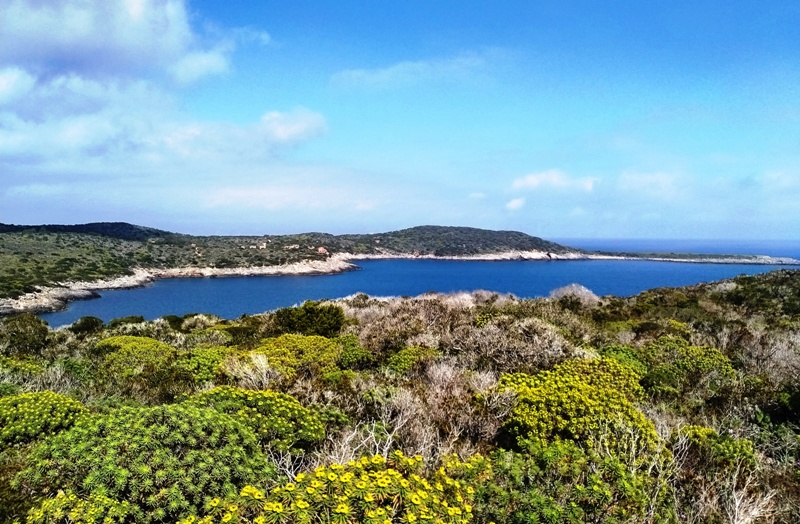 Giannutri-legge-natura_Toscana-ambiente