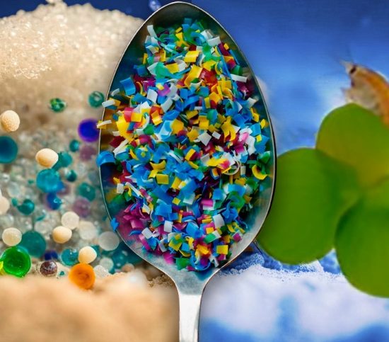 microplastiche- inquinamento_Toscana-ambiente